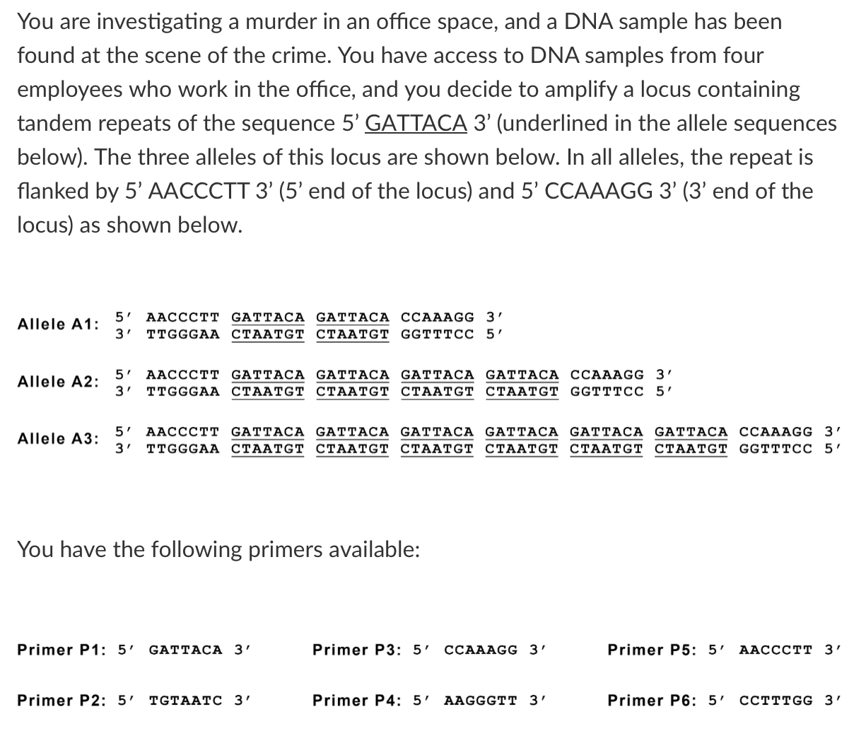 You are investigating a murder in an office