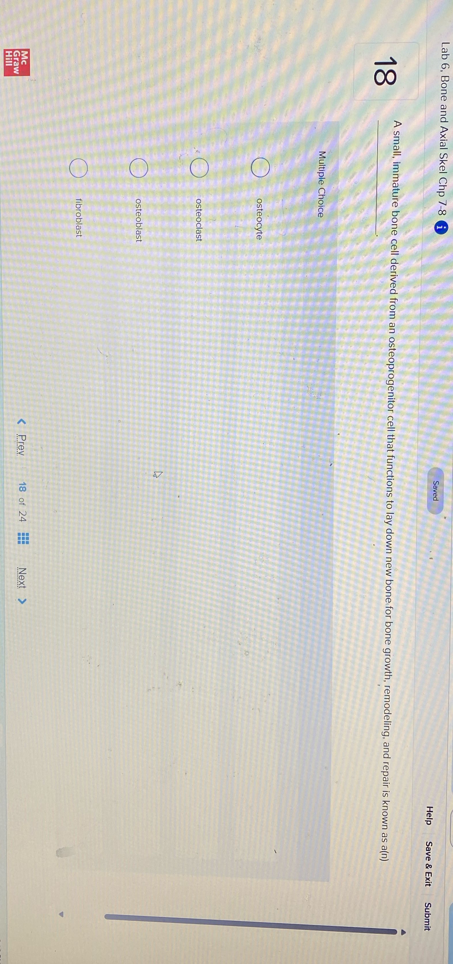 Lab 6, Bone and Axial Skel Chp 7-8 i Saved Help