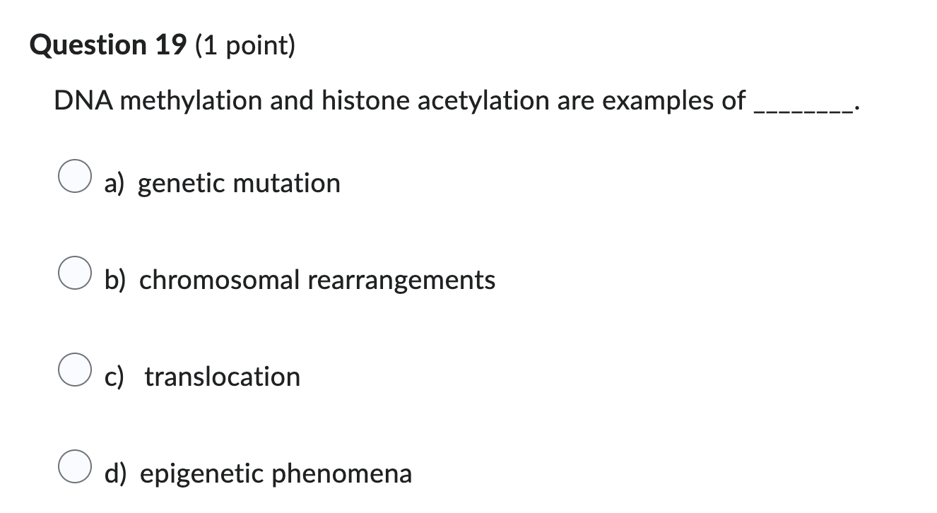 answer please Question 19 (1 point) DNA