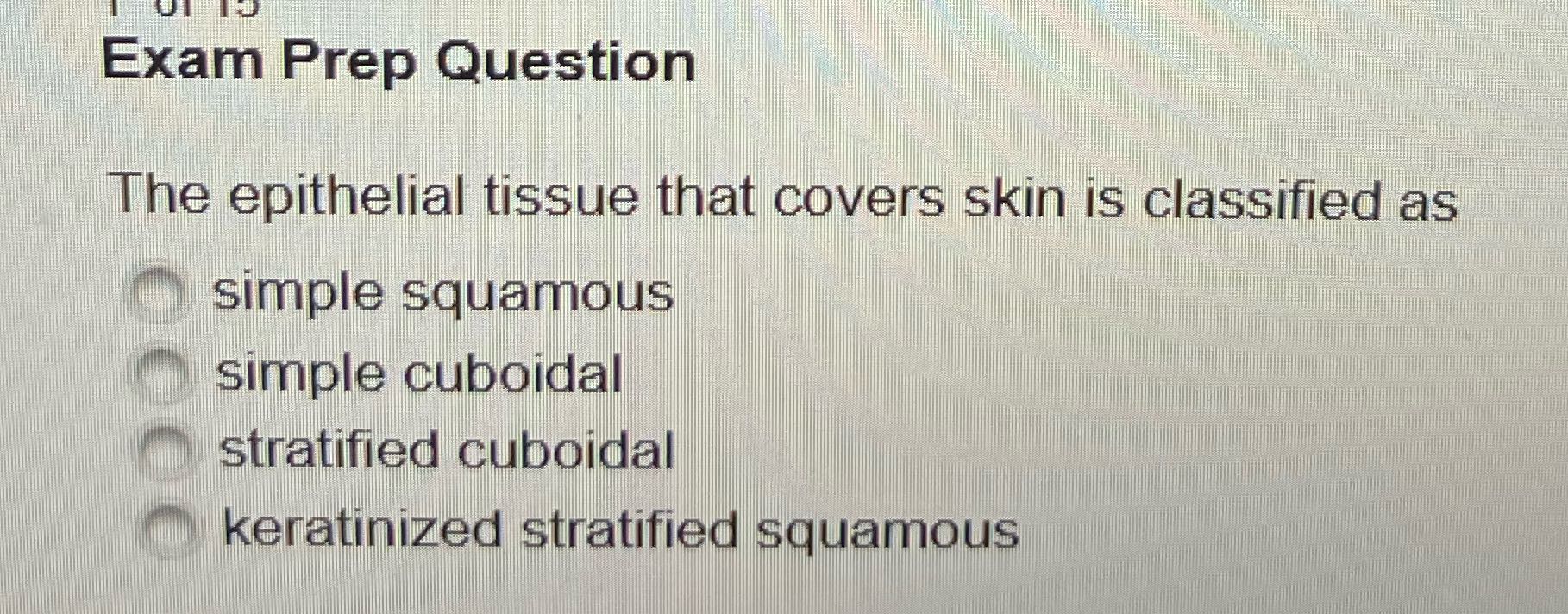 Chapter 4 Quiz Exam Prep Question The epithelial