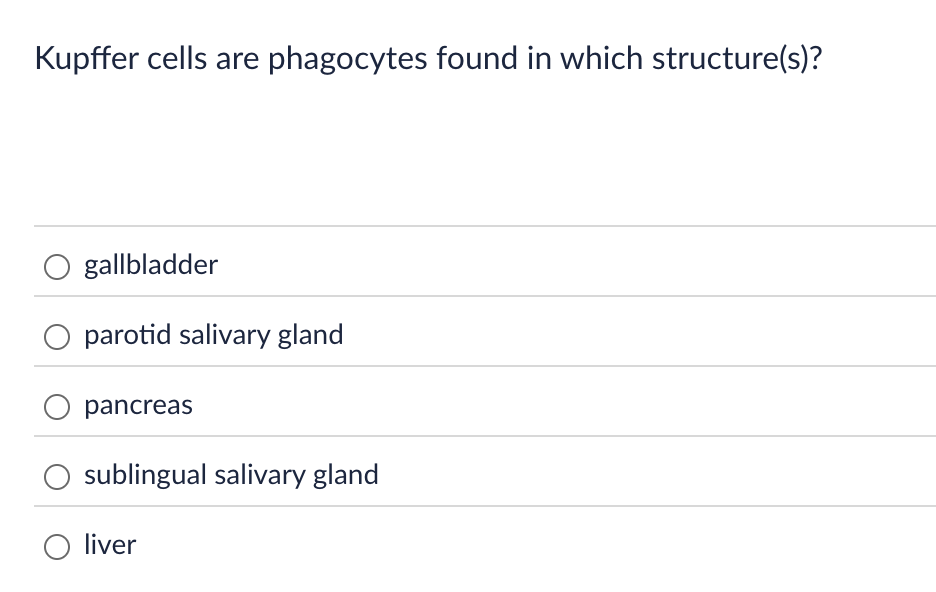 Answer Kupffer cells are phagocytes found in