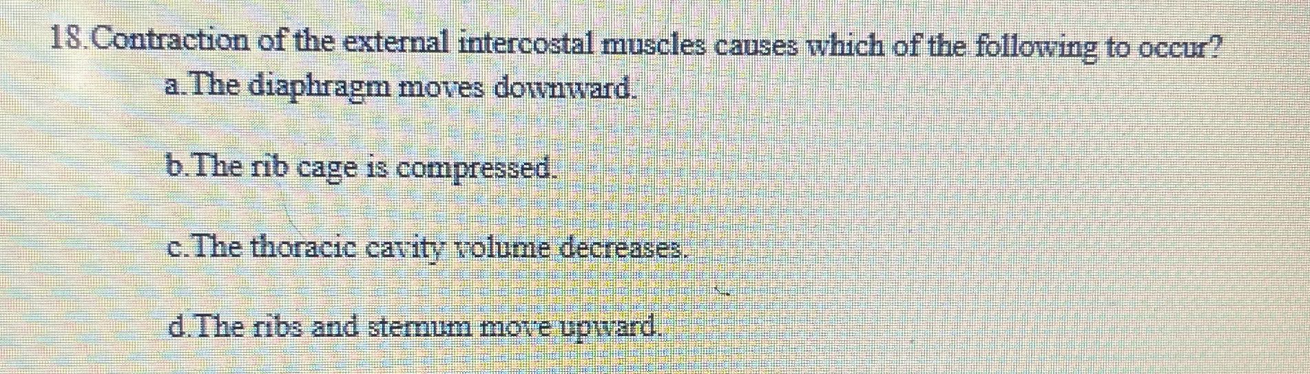 ? 18. Contraction of the external intercostal