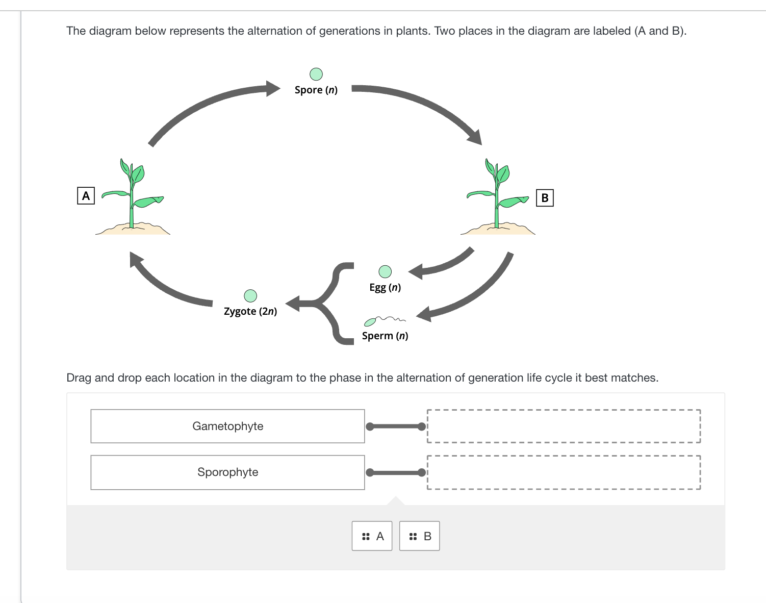 ANSWER The diagram below represents the