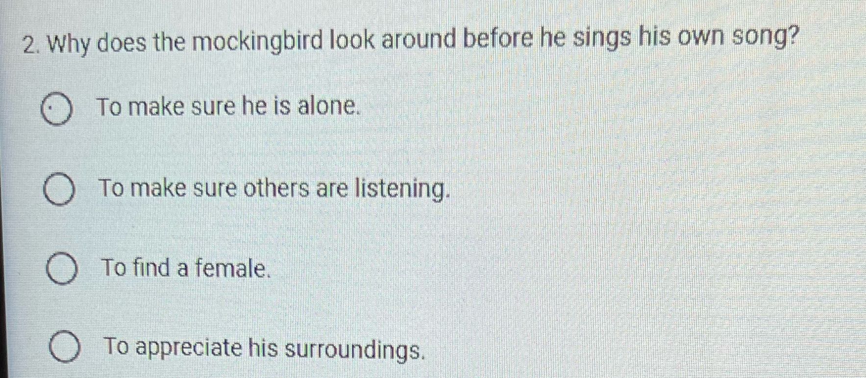 2. Why does the mockingbird look around before he