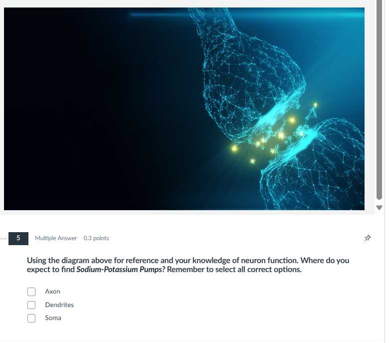 part 5 vere [2] Multiple Answer 0.3 points &