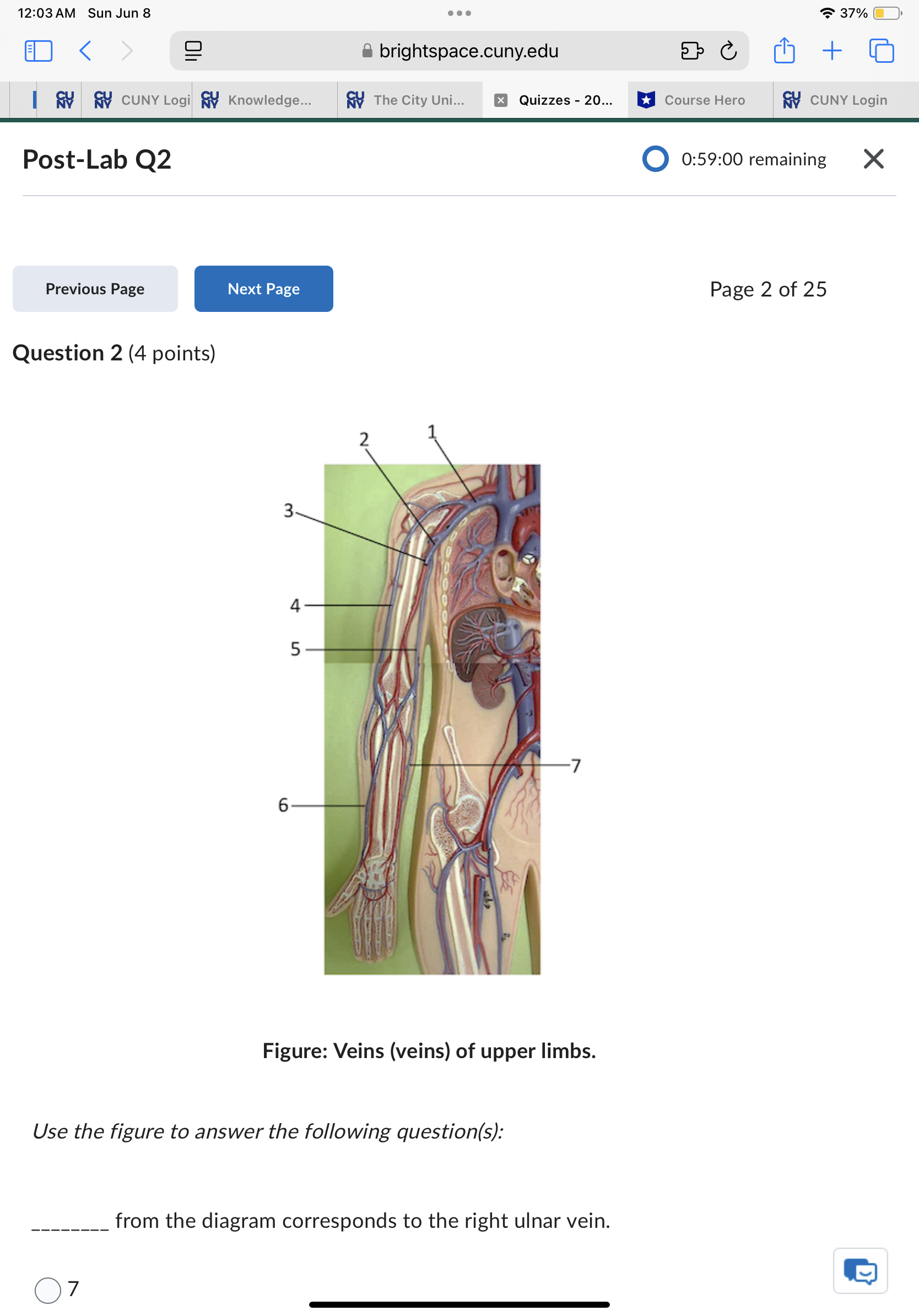 Sun Jun 8 . . . 37% ED < brightspace.cuny.edu + 5