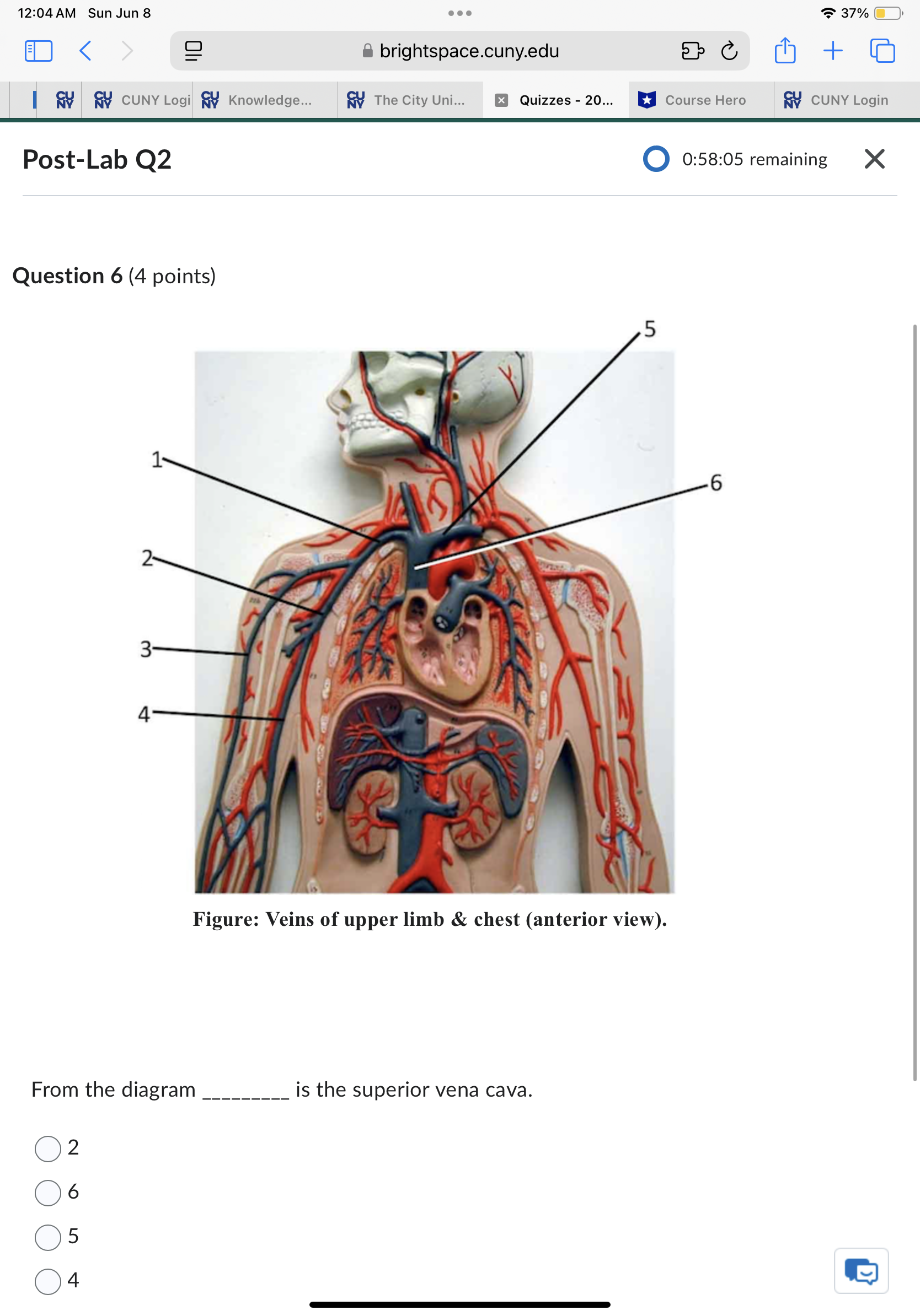 Sun Jun 8 . . . 37% ED < brightspace.cuny.edu + 5