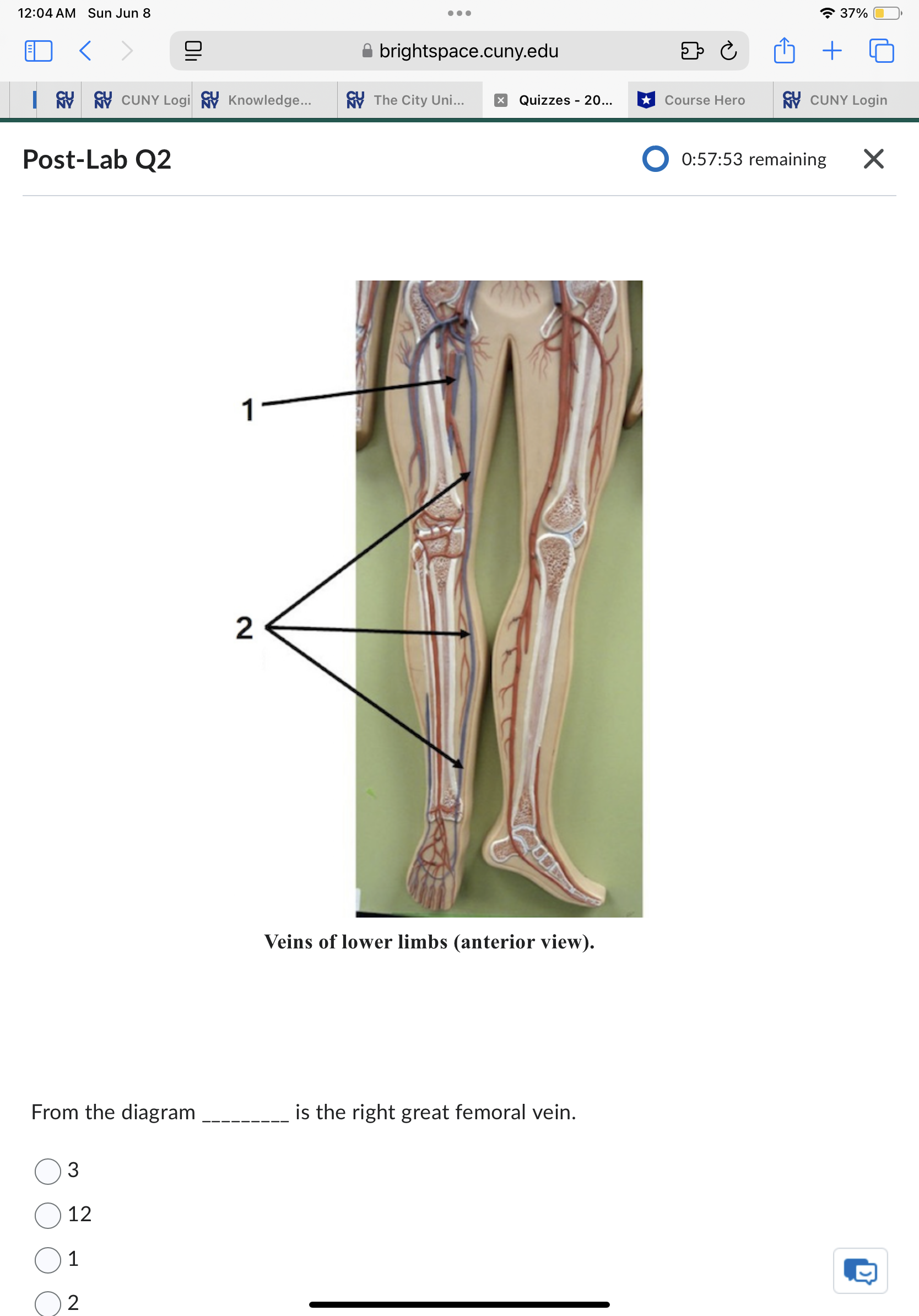 Sun Jun 8 . . . 37% ED < brightspace.cuny.edu + 5