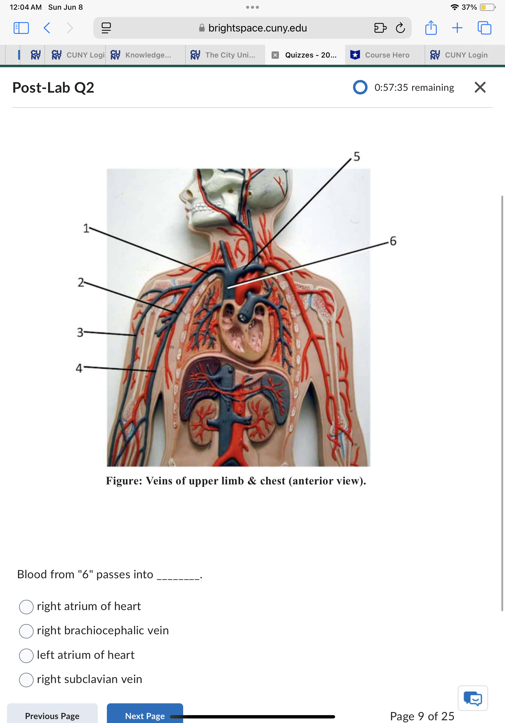Sun Jun 8 . . . 37% ED < brightspace.cuny.edu + 5