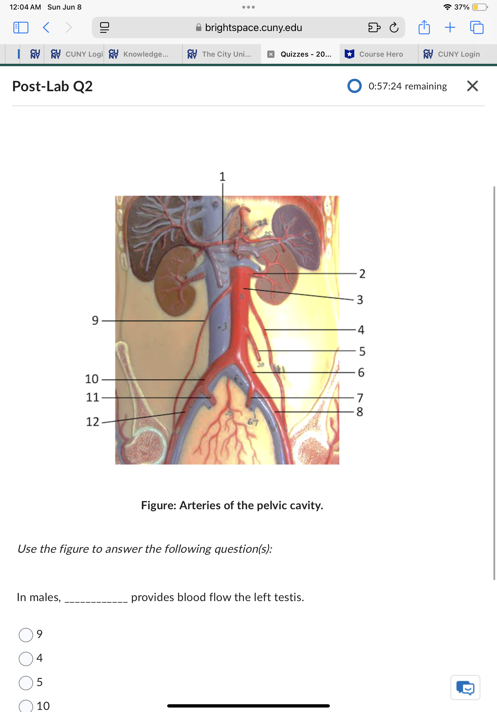 Sun Jun 8 . . . 37% ED < brightspace.cuny.edu + 5