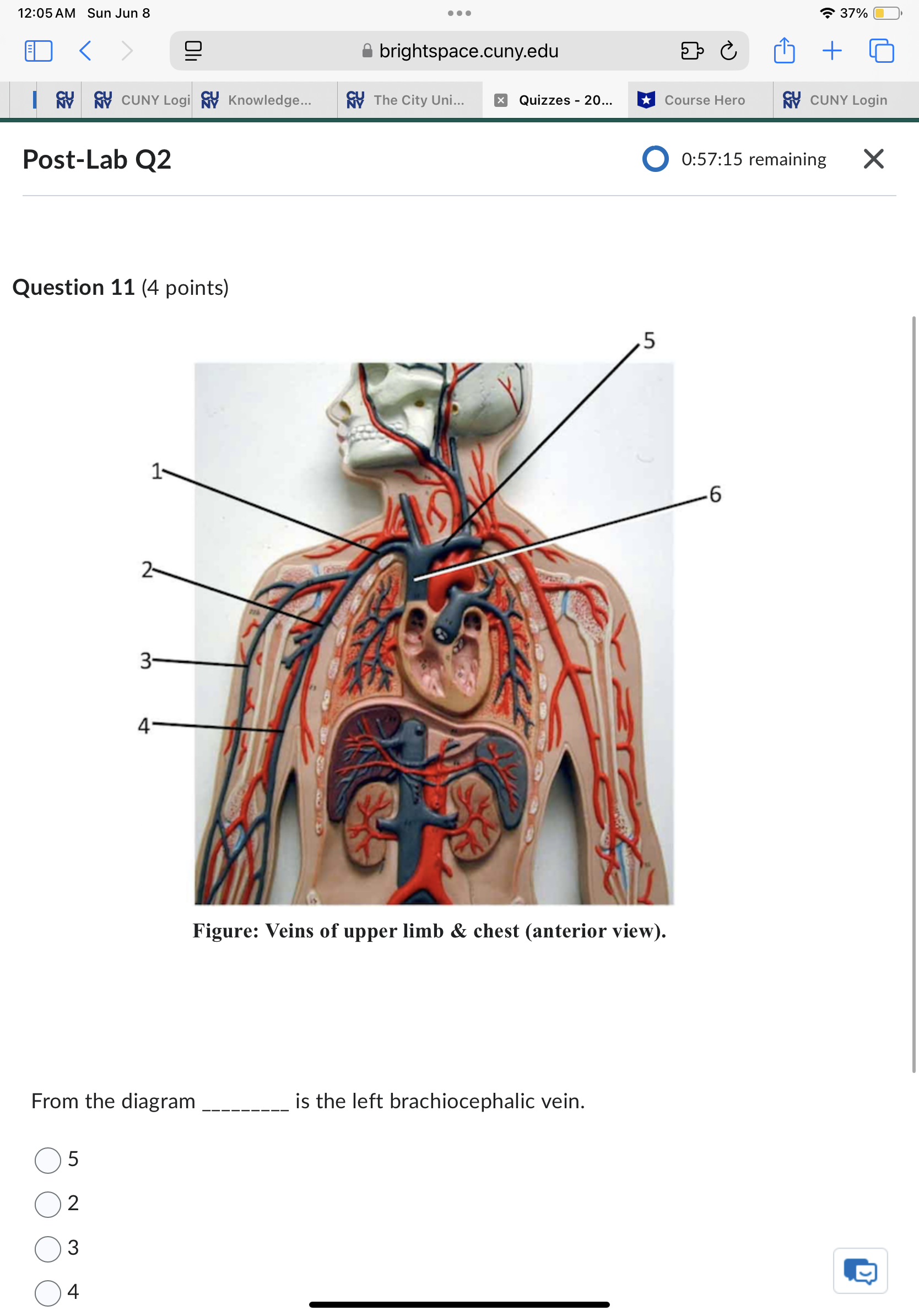 Sun Jun 8 . . . 37% ED < brightspace.cuny.edu + 5