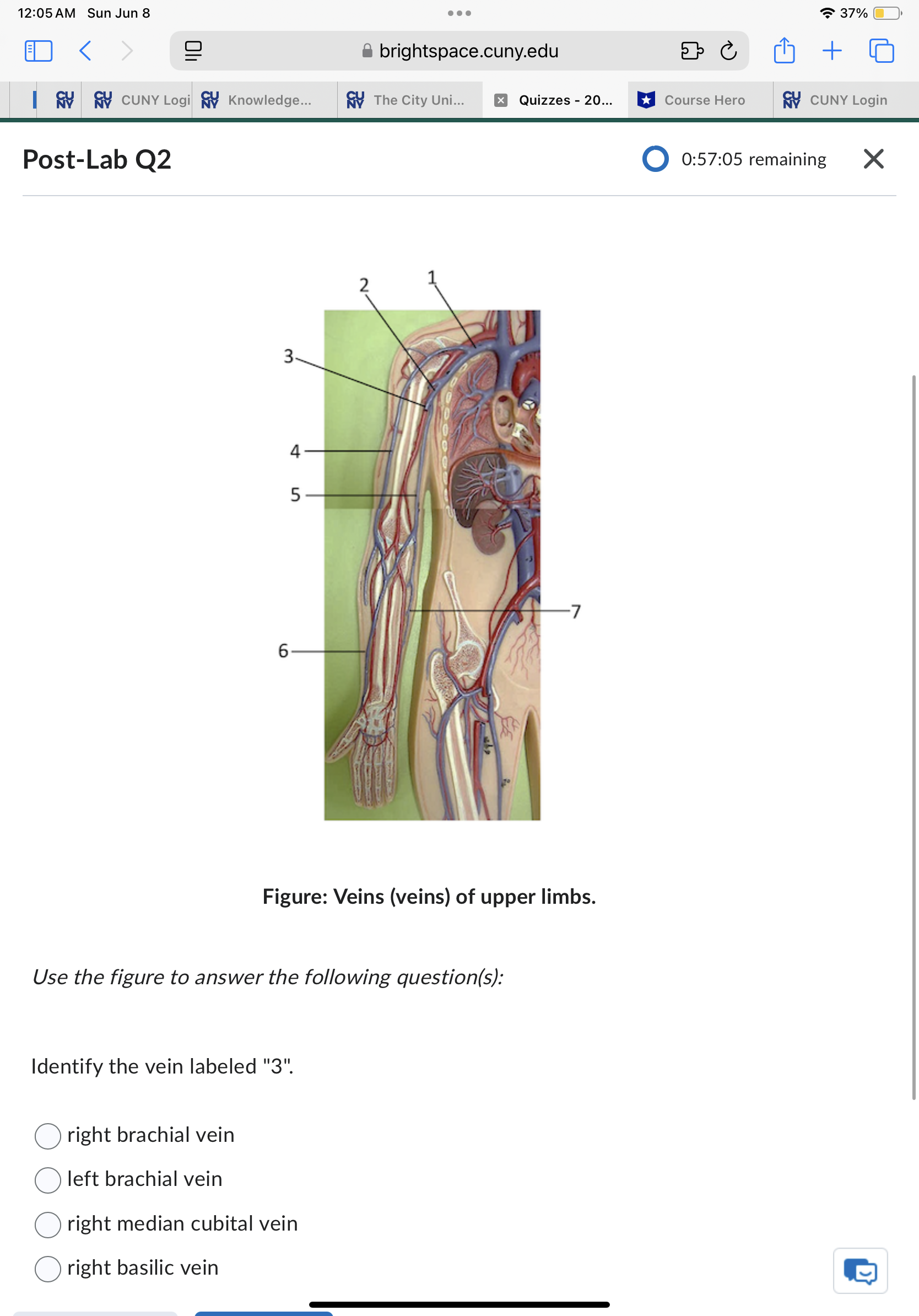 Sun Jun 8 . . . 37% ED < brightspace.cuny.edu + 5