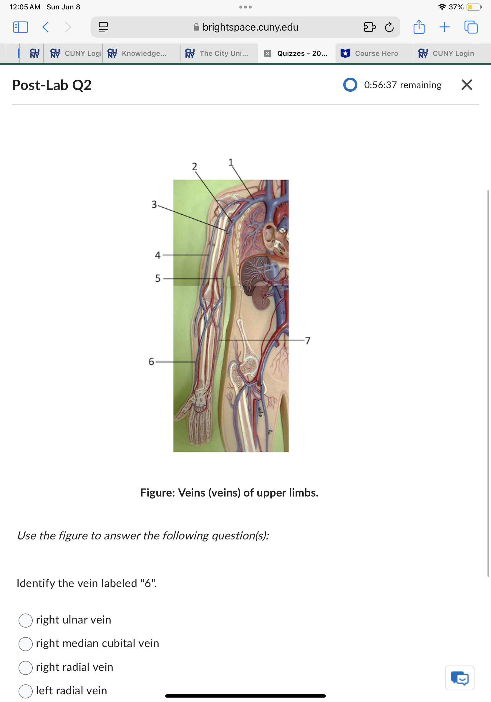Sun Jun 8 . . . 37% ED < brightspace.cuny.edu + 5