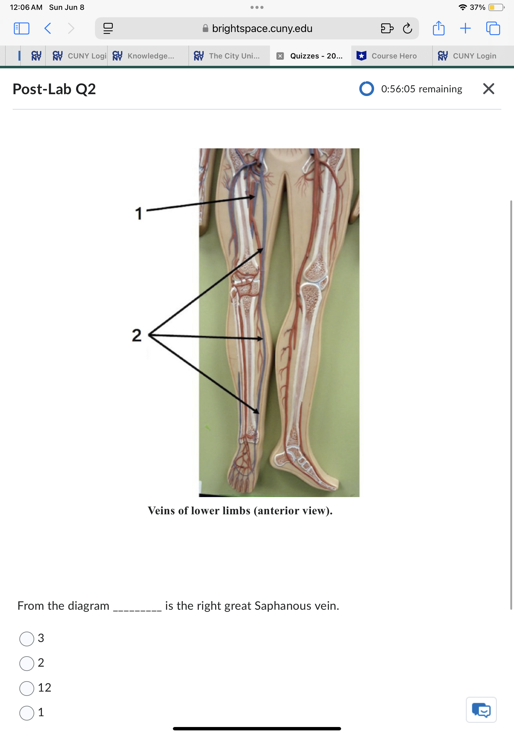 Sun Jun 8 . . . 37% ED < brightspace.cuny.edu + 5