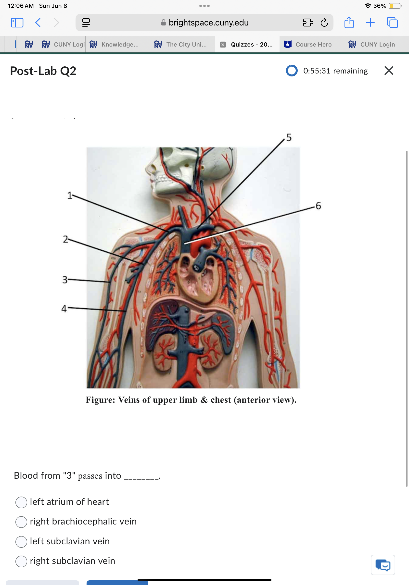 Sun Jun 8 . . . 37% ED < brightspace.cuny.edu + 5