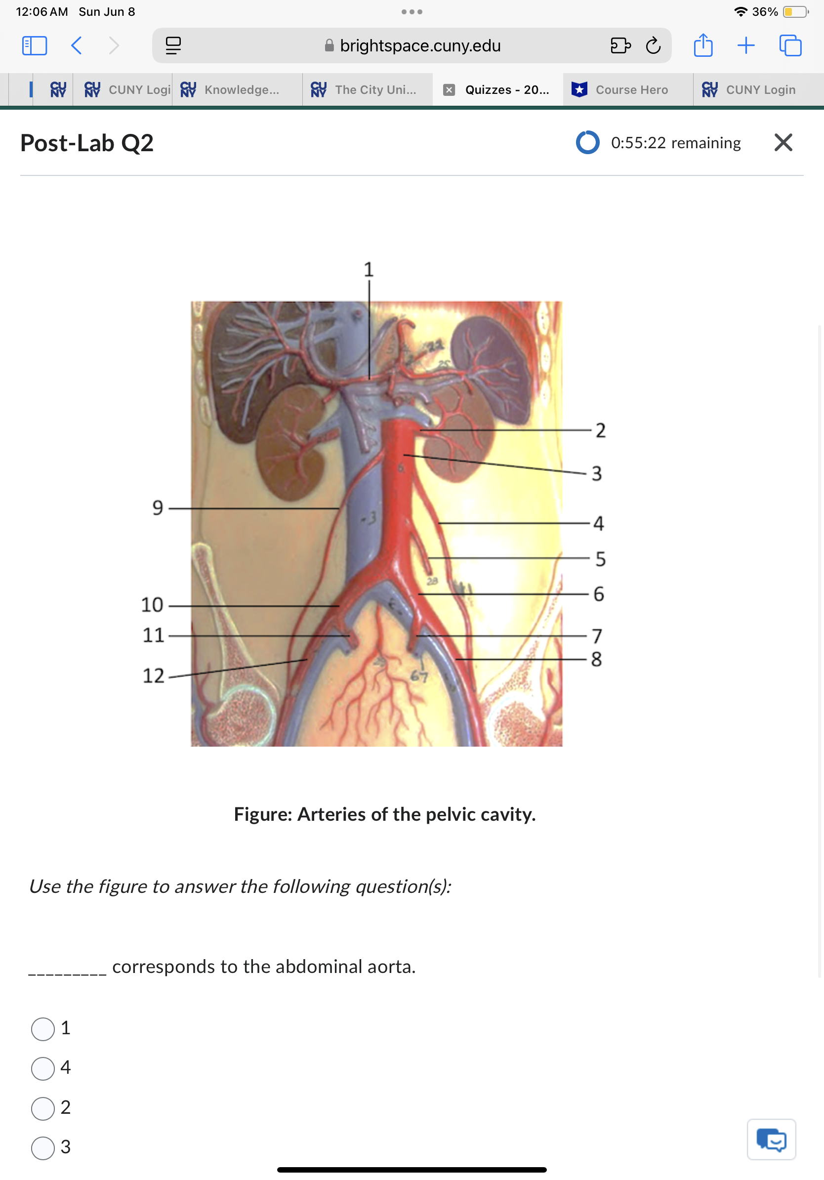 Sun Jun 8 . . . 37% ED < brightspace.cuny.edu + 5