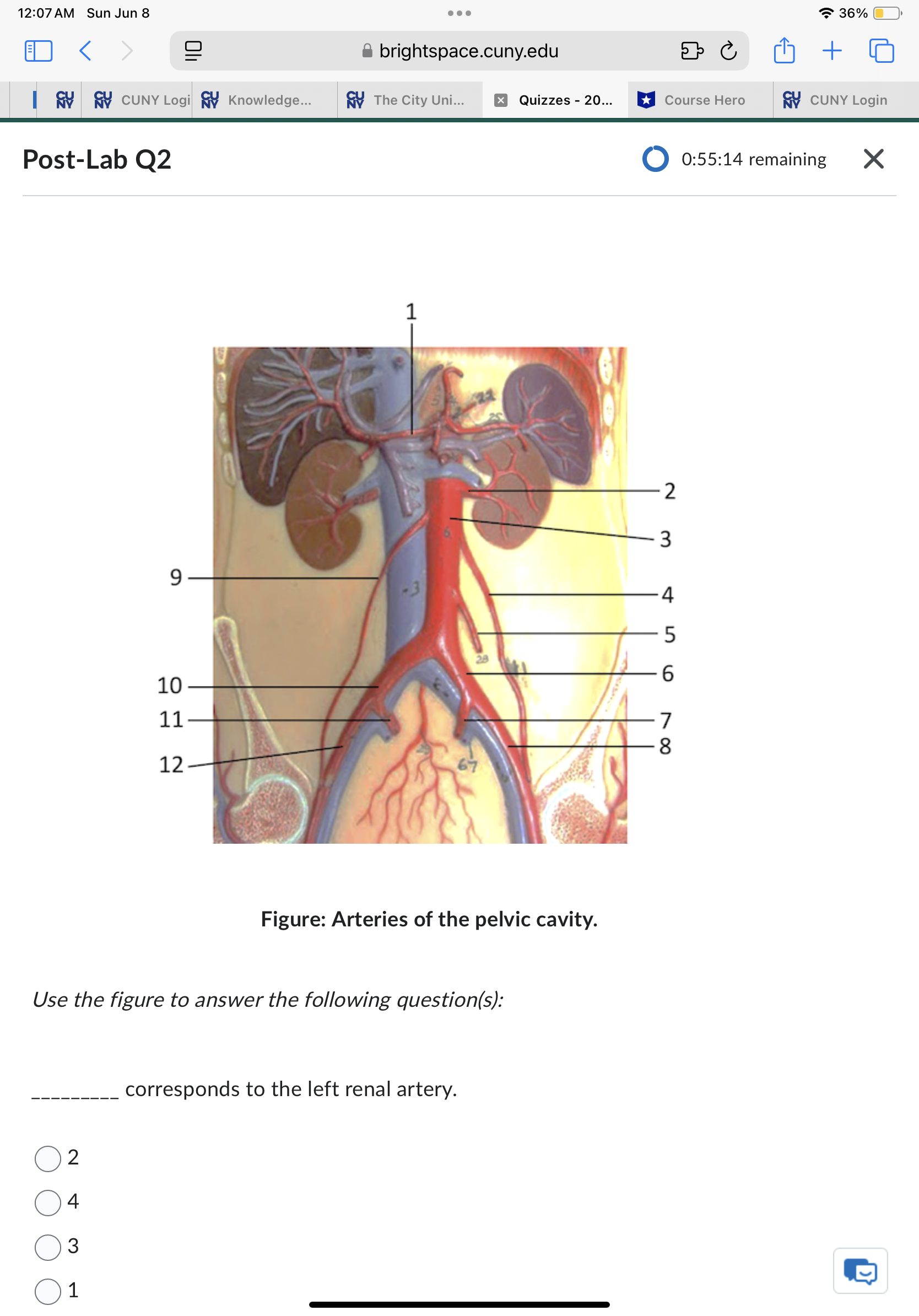 Sun Jun 8 . . . 37% ED < brightspace.cuny.edu + 5