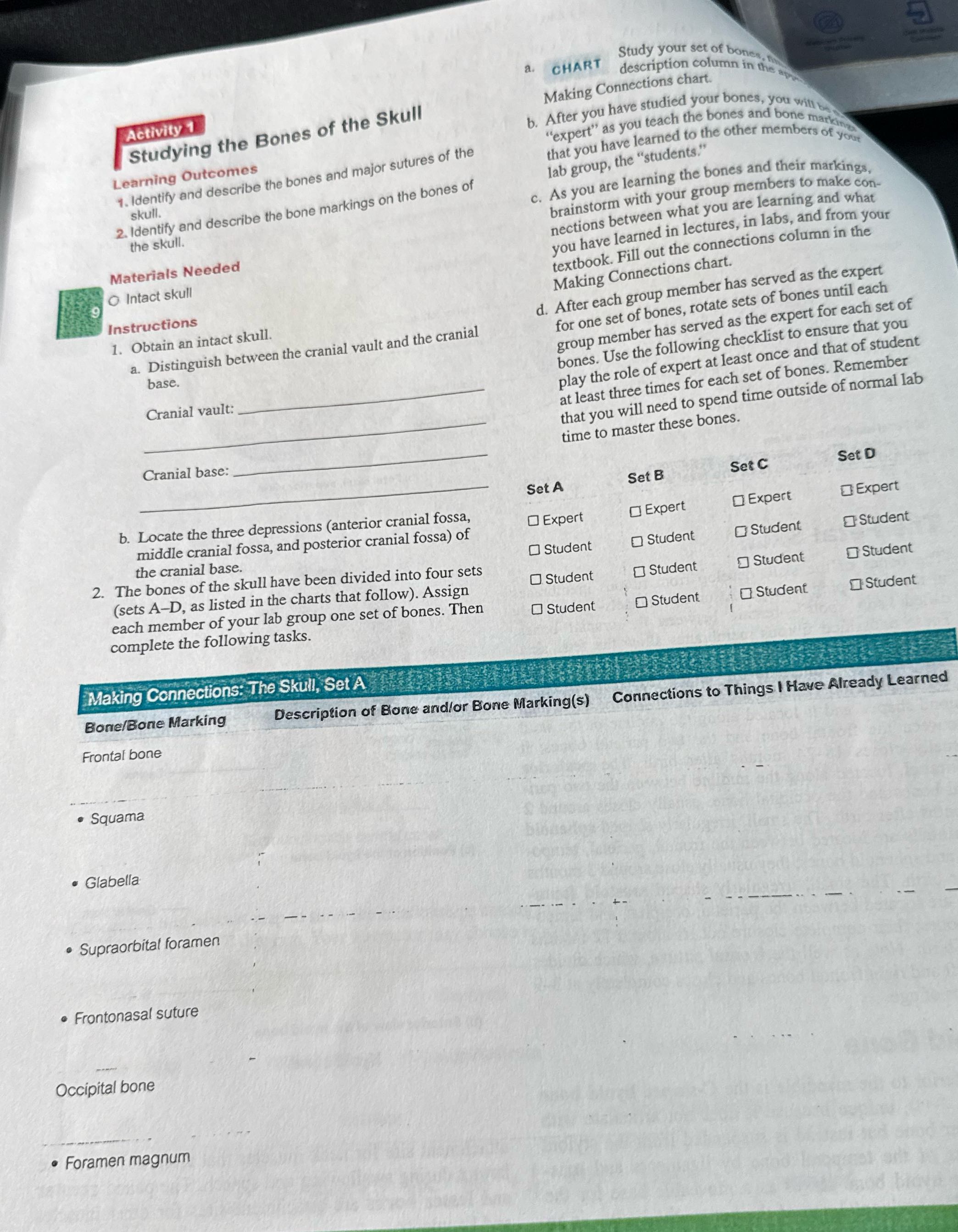 help a. CHART Study your set of bones, my