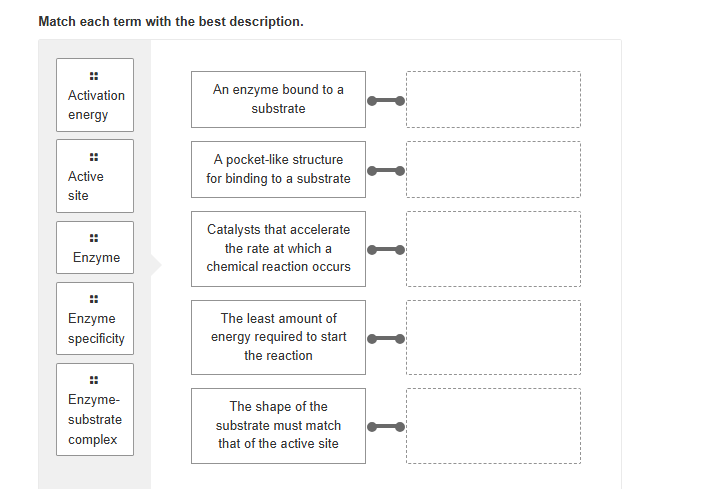 Match each term with the best description. Match