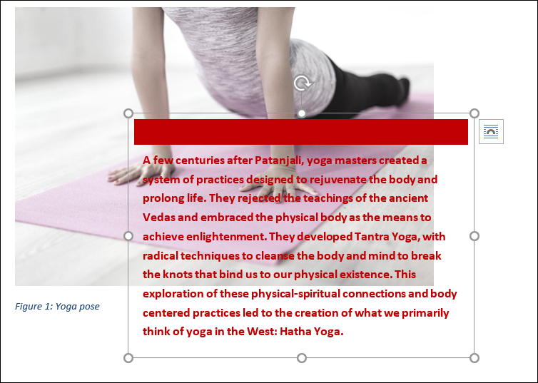 Which layout option would you select to have your