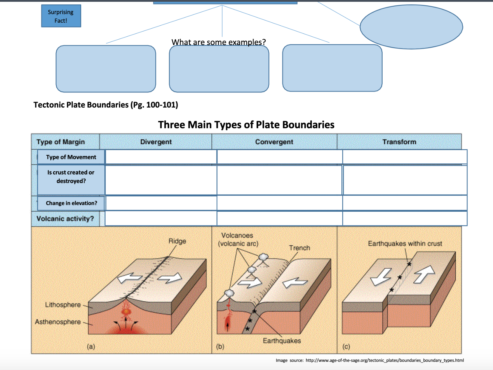 Read the questions carefully and answer them