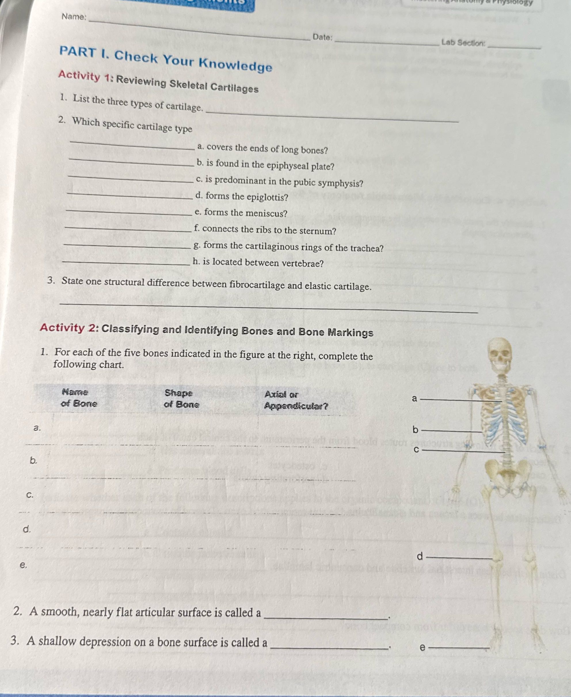 help ? Name: Date: Lab Section: PART I. Check