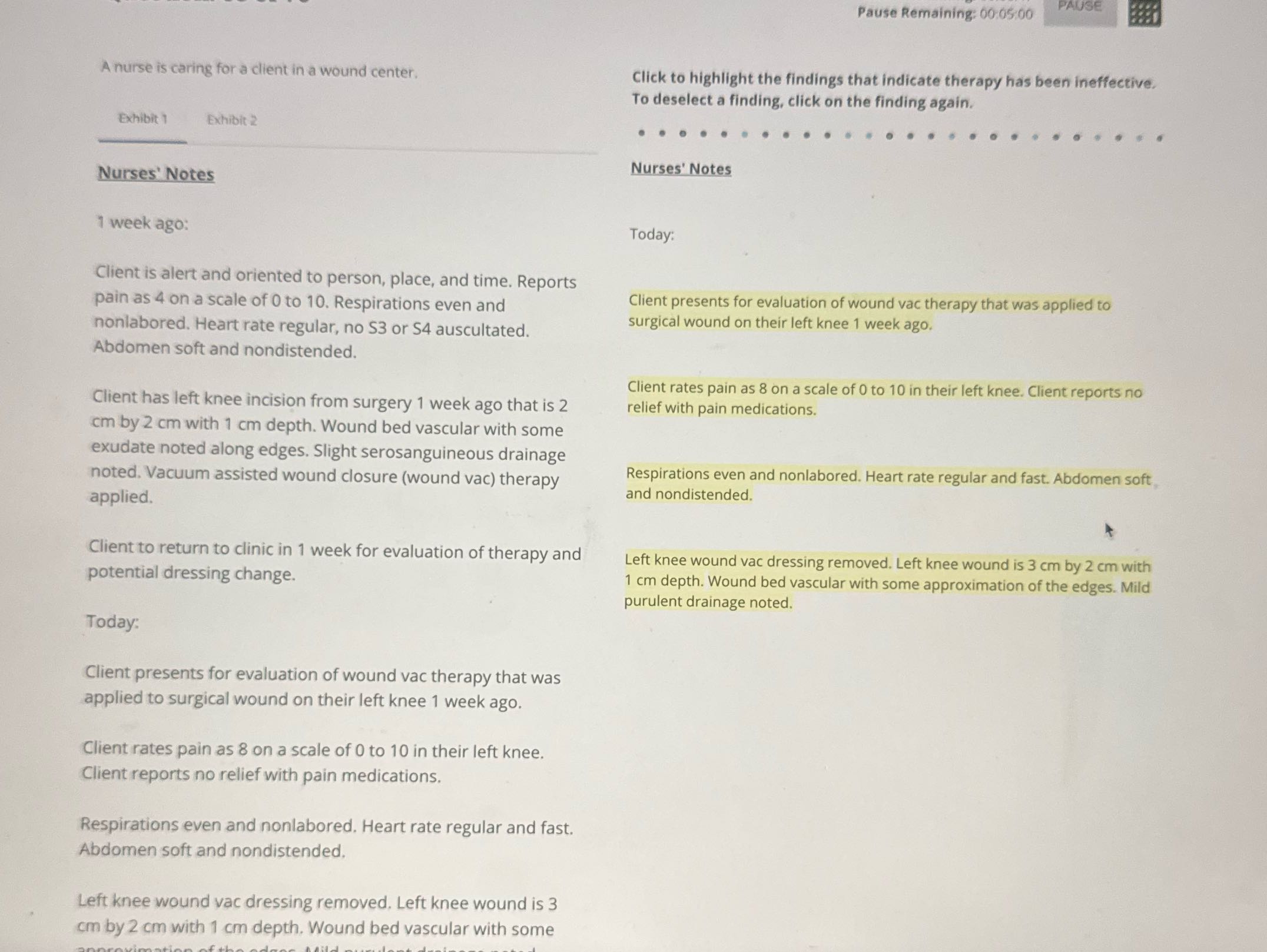 Pause Remaining: 00:05:00 PAUSE A nurse is caring