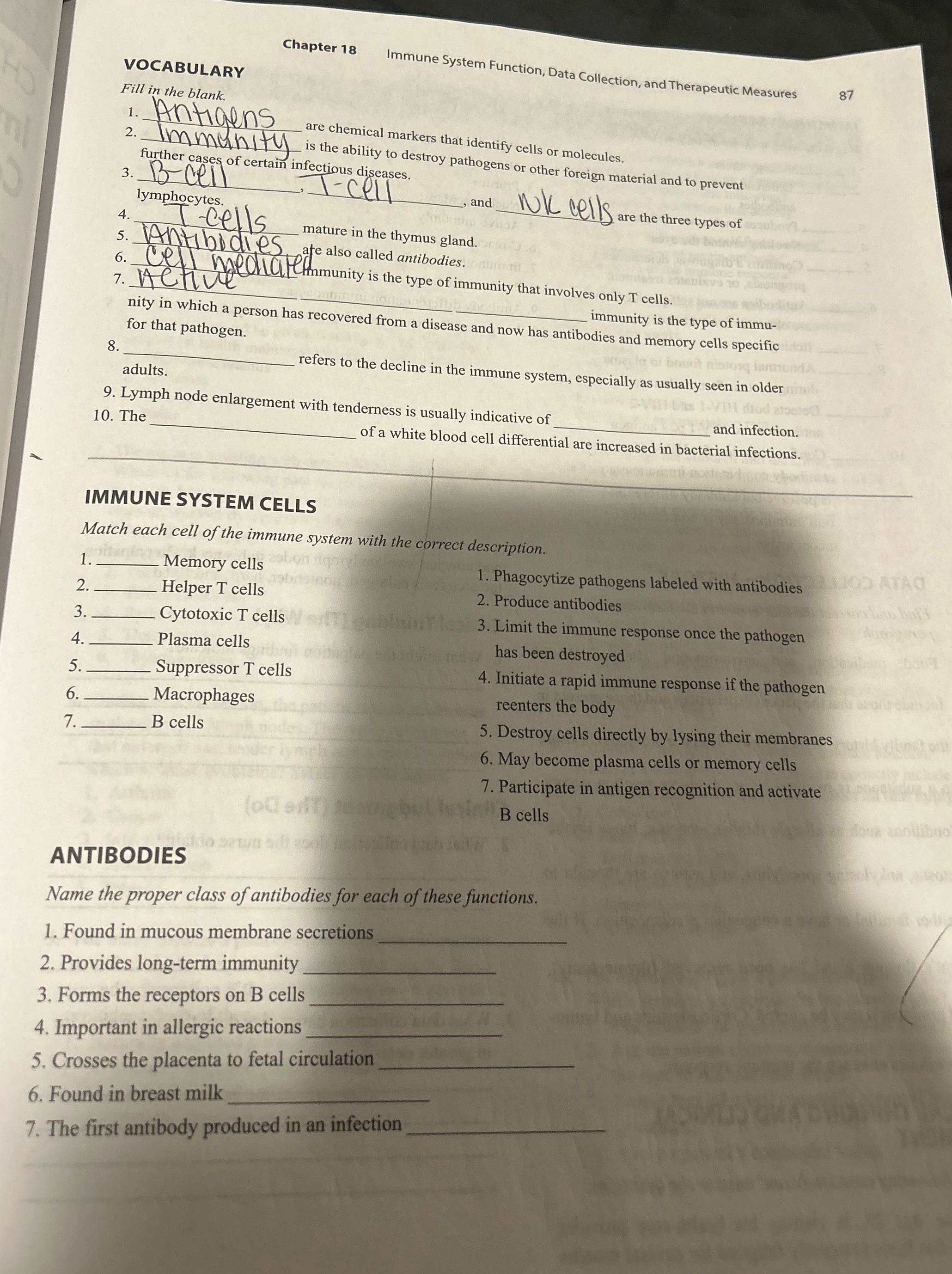 Chapter 18 VOCABULARY Immune System Function,