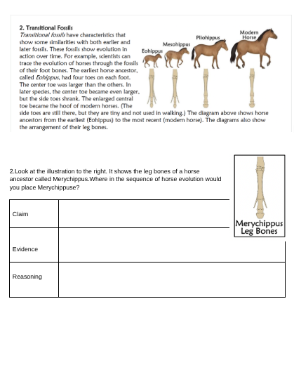 answer, no big words. 2. Transitional Fouils