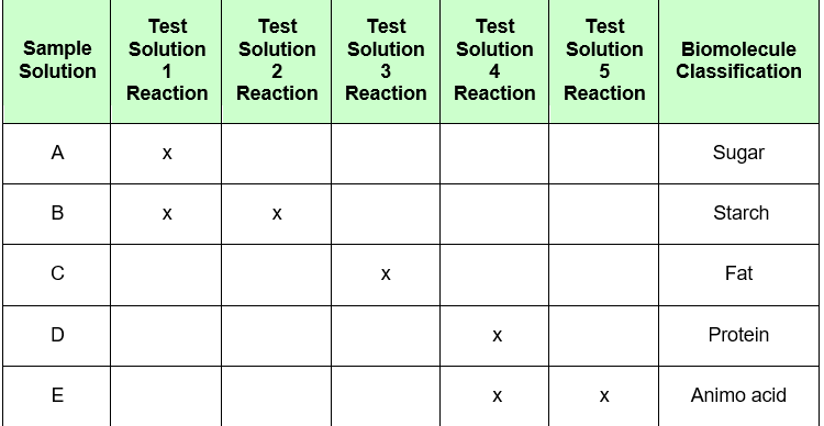 Which variable represents the independent