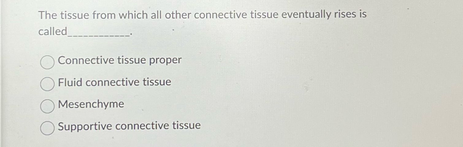 The tissue from which all other connective tissue