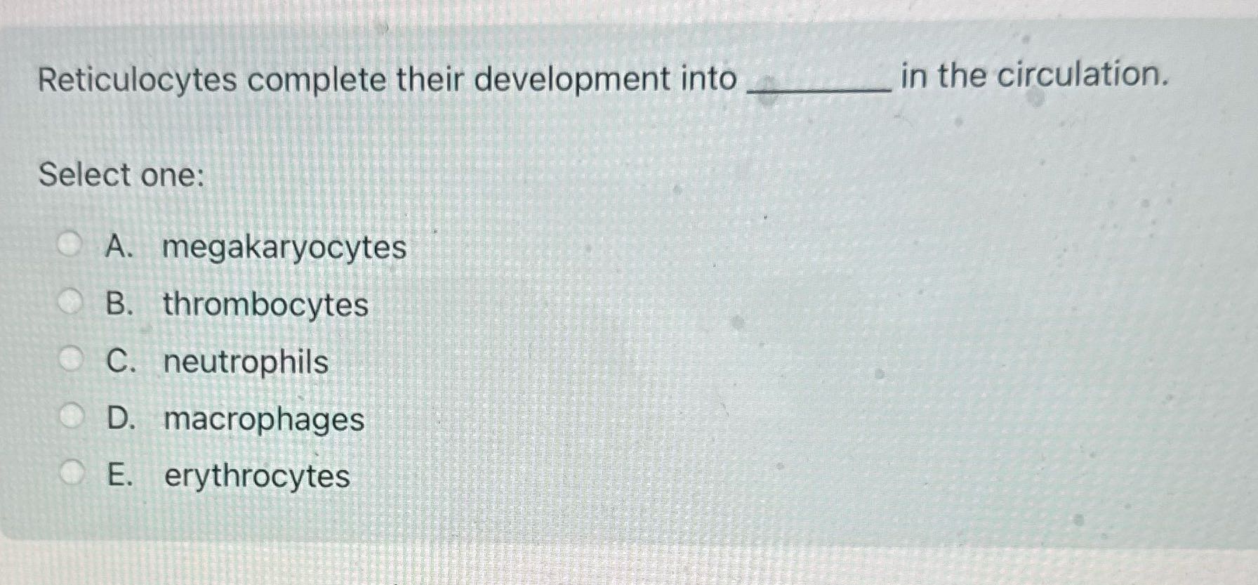 Reticulocytes complete their development into in