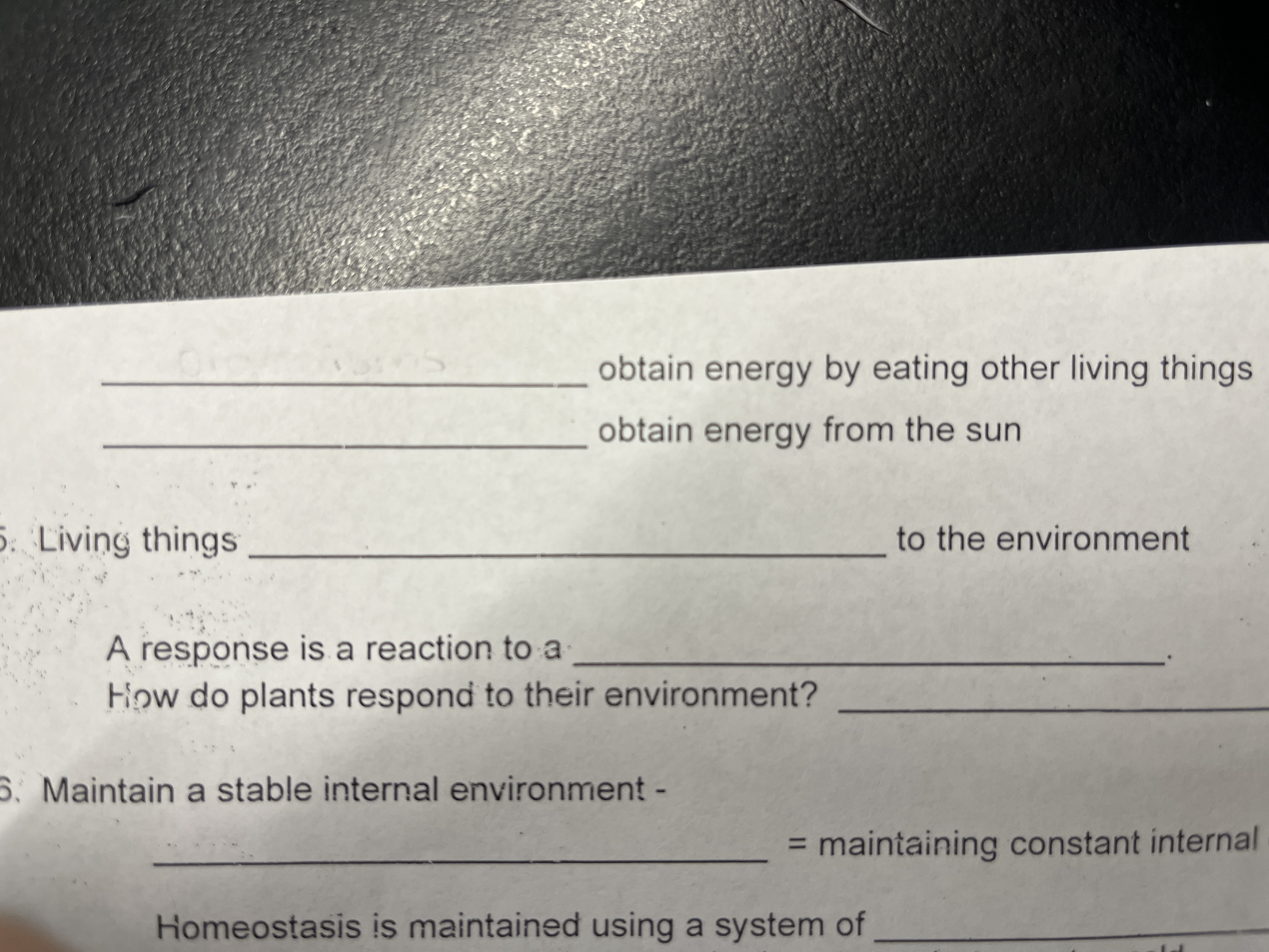 obtain energy by eating other living things