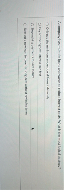 A company has multiple loans and wants to reduce