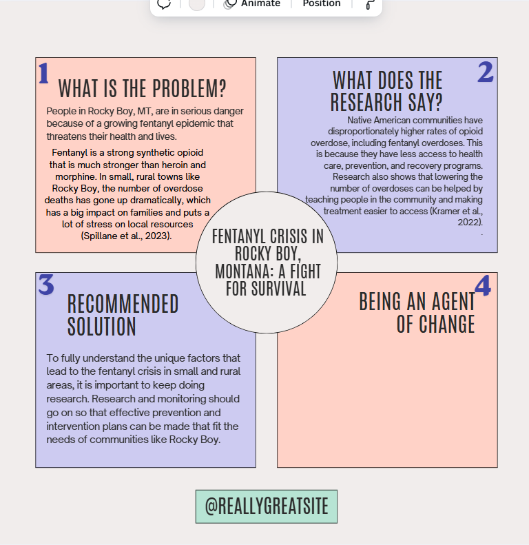 what can i add in box 4 \\ V Animate WHAT 1S THE