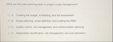 What are the main planning tasks in project scope