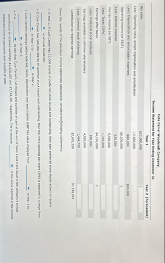 Cute Camel Weoderaft Company Inceme Statement for