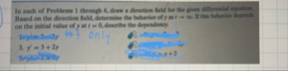 Do problem 3 only draw a direction field for the