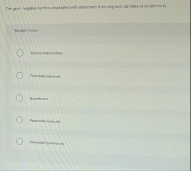 The gram - negative bacillus associated with