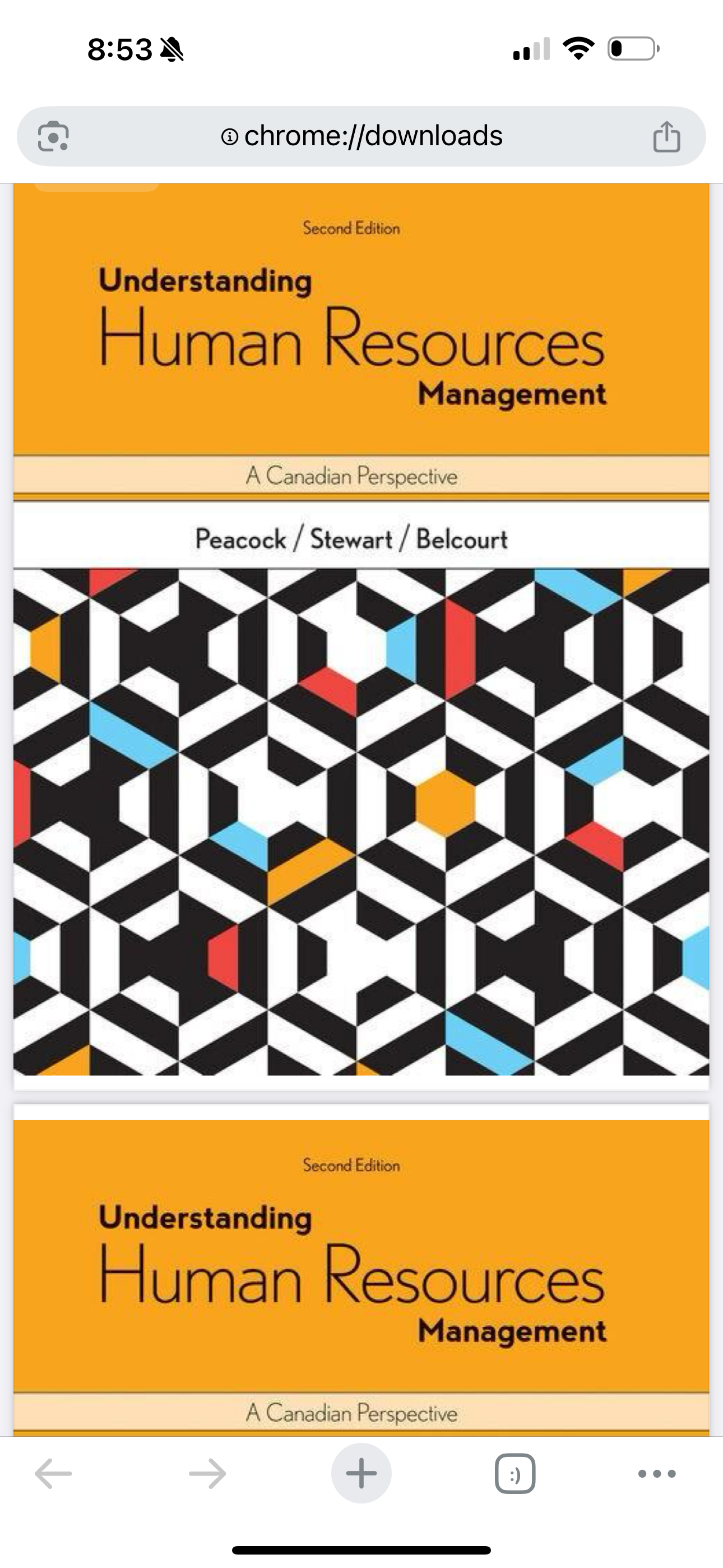 Critical Reflection Report RDP Assig... Done