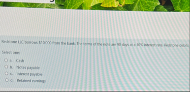 Redstone LIC borrows $ 1 0 , 0 0 0 from the bank.