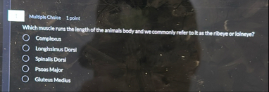 Multible Cheice 1 point Wich maxde runs the