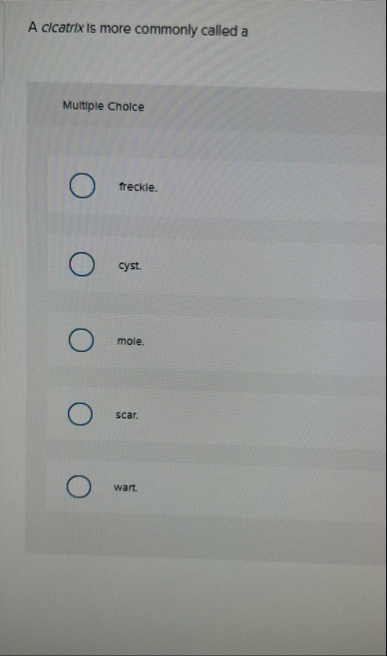 A clcatrix Is more commonly called a Multiple