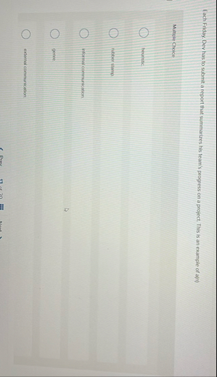 Each Filday. Dev has to submit a report that