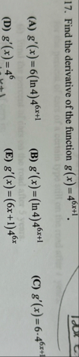 Find the derivative of the function g ( x ) = 4 6