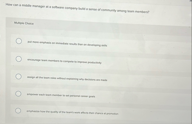 How can a middle manager at a software company