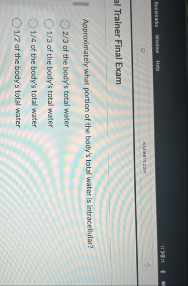 Bookmarks Window Help issalearn.com Trainer Final