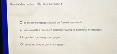 Fannie Mae ran into difficulties because it