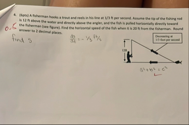 ( 6 pts ) A fisherman hooks a trout and reels in