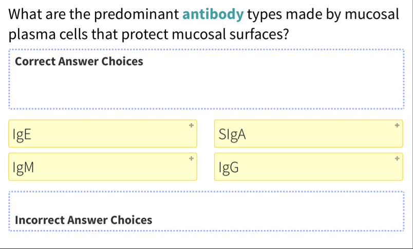 What are the predominant antibody types made by